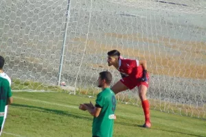 (Φωτορεπορτάζ) ΠΟ Ορμήδειας- Πέγεια 2014