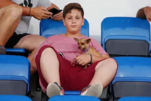 Σκυλάκια στην κερκίδα!
