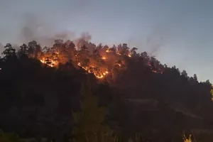 (ΝΕΟΤΕΡΟ) Υπό μερικό έλεγχο η πυρκαγιά - Συνεχίζεται η μεγάλη μάχη