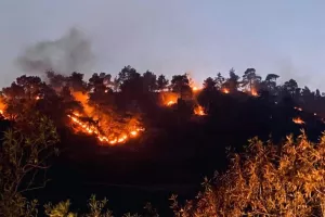 Ολονύχτια η μάχη με τις φλόγες/Τεράστιων διαστάσεων η πυρκαγιά