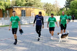 Με το σκυλί 