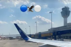 Πτήση... στα χρώματα της ΑΝΟ!