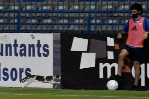 ΤΟΠ στο Παπαδόπουλος!