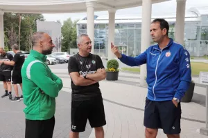 Βόλταραν στο δάσος/Ομόνοια