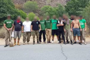 "Αν τα δάση ήταν τράπεζες, θα τα έσωζαν"