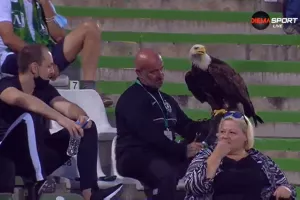 Με… αετό στην κερκίδα!