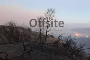 Στα 40 τετραγωνικά χιλιόμετρα περίπου η καμένη έκταση