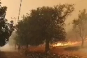 Διευθυντής Τμήματος Δασών: "Ακατόρθωτη η κατάσβεση φωτιάς" 