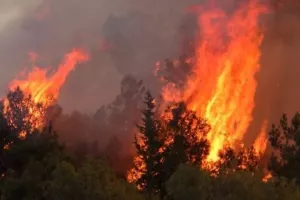  Η χειρότερη πυρκαγιά στην Κύπρο