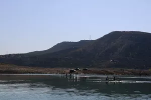 Ολοκληρώθηκε το Παγκύπριο Πρωτάθλημα Κωπηλασίας 2021