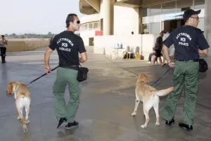 16 χρόνια απ' την τριάρα στην Τράμπζονσπορ! (φώτος/βίντεο)
