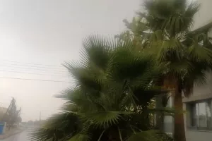Λευκωσία: Πλημύρισαν δρόμοι - Έπεσαν δέντρα