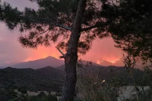 Σχέδιο για τους πληγέντες από την πυρκαγιά