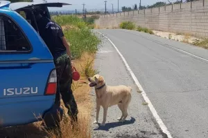 Φόνος Αναρίτα: Ταυτοποιήθηκε η σορός- Στη δημοσιότητα το όνομα του