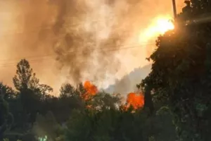 Υπό πλήρη έλεγχο η φωτιά στην Τριμίκλινη