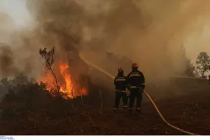 Η αρρωστημένη ομολογία του 14χρονου εμπρηστή – "Έβαζα φωτιές γιατί μου άρεσε να το βλέπω"