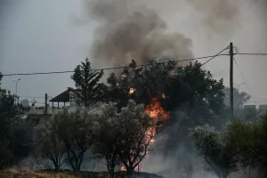 ΠΑΟΚ και Άρης έστειλαν μήνυμα στήριξης προς τους πυρόπληκτους