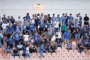 ΑΝΟ/54%