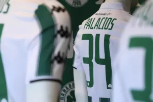 Παναθηναϊκός: Διάλεξαν νούμερα Παλάσιος και Βιτάλ - Από σήμερα στη μπουτίκ της Λεωφόρου