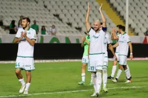 Δράμα με… πράσινο τέλος! (φώτος) 