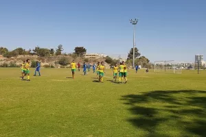 Το κιτρινοπράσινο πρόγραμμα Ακαδημιών
