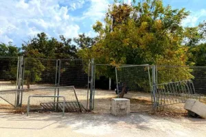 Καταγγελίες για ζημιές από το ΟΑΚΑ στο περιθώριο του ΑΕΚ - Ιωνικός 