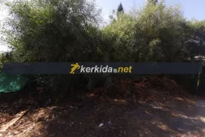 (Aπόλλων) Έπιασαν δουλειά οι μπουλντόζες