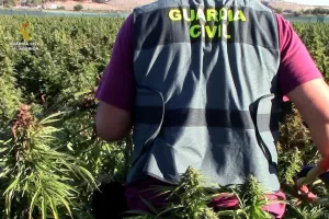 Η μεγαλύτερη φυτεία κάνναβης στην Ευρώπη- Ίσης έκτασης με16 γήπεδα ποδοσφαίρου (βίντεο)