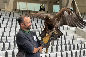 Για πρώτη φορά στην "Αγιά Σοφιά" ο αετός! (φώτος)