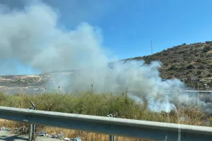 Φωτιά με πολλαπλές εστίες στη Λεμεσό (Φώτος)