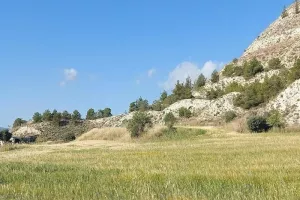 "Πρασινίζουμε την Αλάμπρα!"