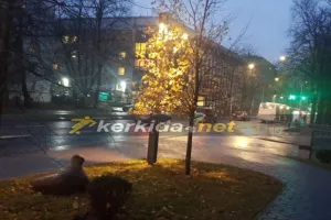 Βροχερό... Ταλίν! 