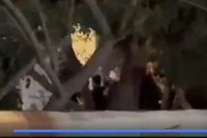 Πορτοκαλί/ Τραγούδι... έξω απ' το κλειστό! (Βίντεο)