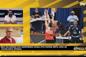 Δεν ανησυχεί (Νέα Σαλαμίνα) 
