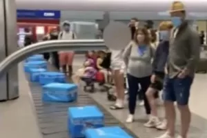 Xαμός σε πτήση από Κύπρο: Αντί αποσκευές, οι επιβάτες πήραν ψάρια