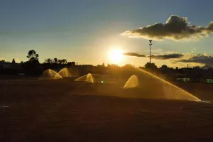 Ξεκίνησαν την επανασπορά (φώτος)