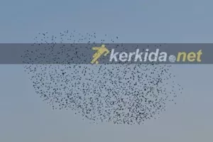 Επίθεση... από αέρος!