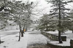 Χιονόπτωση...