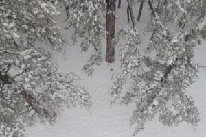 Στα λευκά παραμένει ντυμένο το Τρόοδος