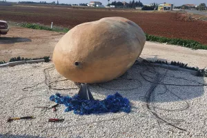 Έριξαν την... πατάτα!/ ΣΧΟΛΙΟ από Εγγλέζου