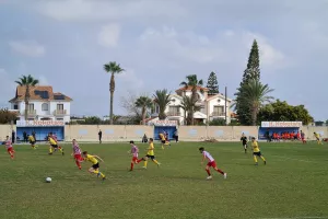 ΑΠΟΤΕΛΕΣΜΑΤΑ/Κ14-Κ15