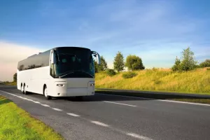 Bus Trip Day η Πάφος (φώτο) 