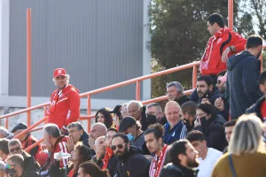 Παντού Σαλαμίνα