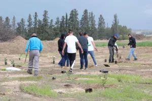 Ομόνοια: Φύτεψε 288 δέντρα στο Γέρι