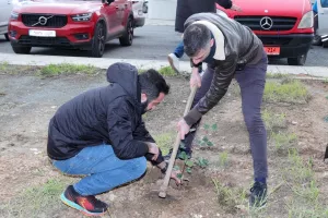 Ομόνοια / Έξι γκολ, 288 δέντρα (φώτος)