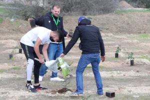 Ομόνοια / Έξι γκολ, 288 δέντρα (φώτος)