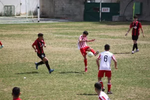 Κ15 Καρμιώτισσα-Νέα Σαλαμίνα (Φωτορεπορτάζ)