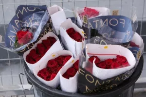 Νέα Σαλαμίνα - Καρμιώτισσα: ΑΠΟΔΡΑΣΗ με Χατζηβασίλη! (φώτος) 