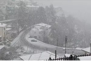 Απολαυστικό!