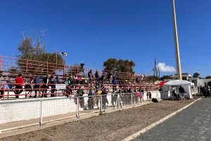 (ΦΩΤΟΣ) Οι... τελικοί στο Ayia Napa Youth Soccer Festival 